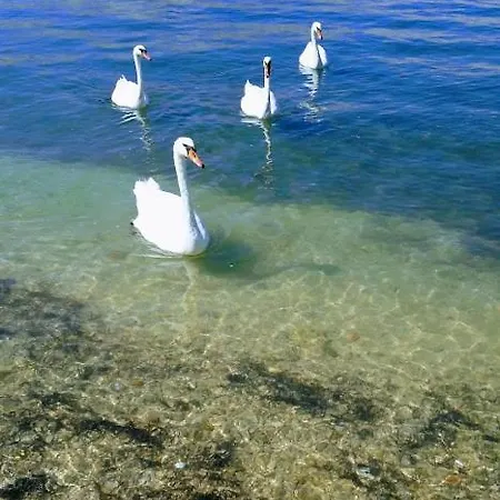 Vista Dal Mare Pag Pag Town